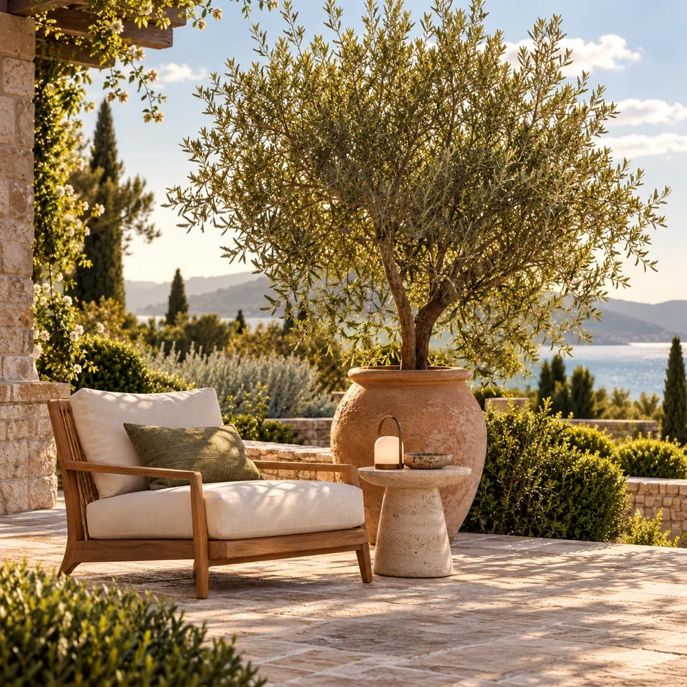 Outdoor & Garden