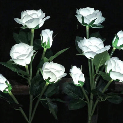 Everbloom™ Luzes solares em forma de flor
